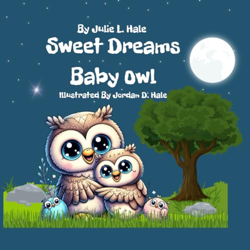 Sweet Dreams Baby Owl