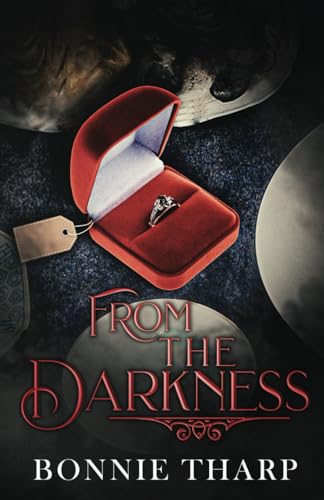 From the Darkness (A Rachel McGill Mystery)
