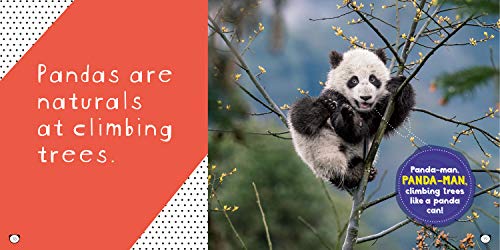 So Cute! Pandas (Cool/Cute)