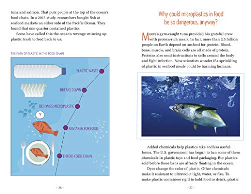 You Are Eating Plastic Every Day: What's in Our Food? (Informed!)