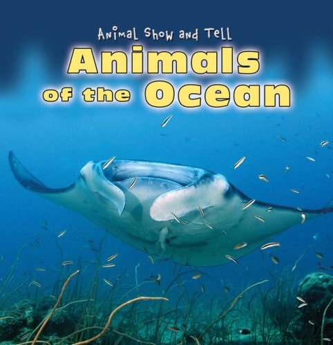Animals of the Ocean (Animal Show and Tell) - 141