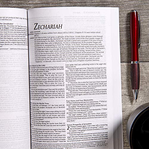 POWER BIBLE: 100% EDITION (FCA)