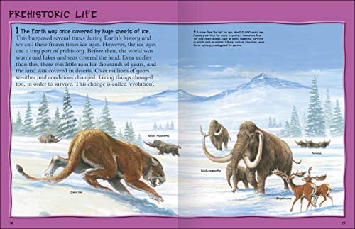 Fantastic Animal Facts