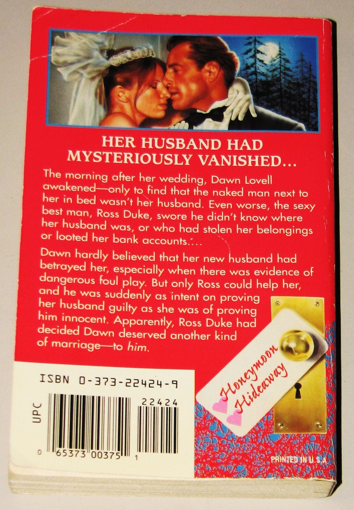 The Case of the Vanished Groom (Honeymoon Hideaway) (Harlequin Intrigue #424)