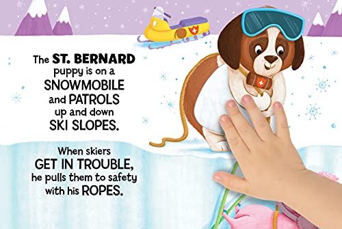 Baby Rescue Animals - Touch and Feel Board Book - Sensory Board Book