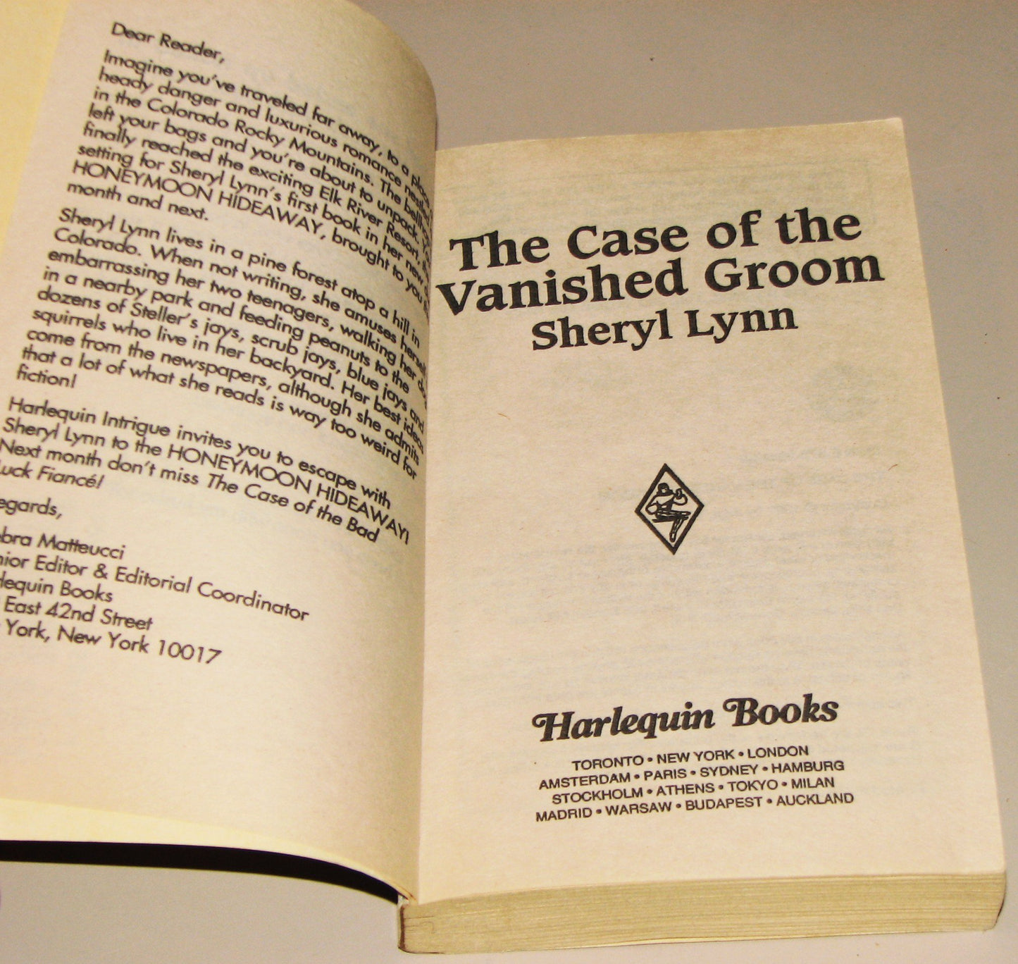 The Case of the Vanished Groom (Honeymoon Hideaway) (Harlequin Intrigue #424)