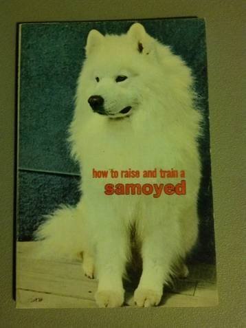 How to Raise and Train a Samoyed