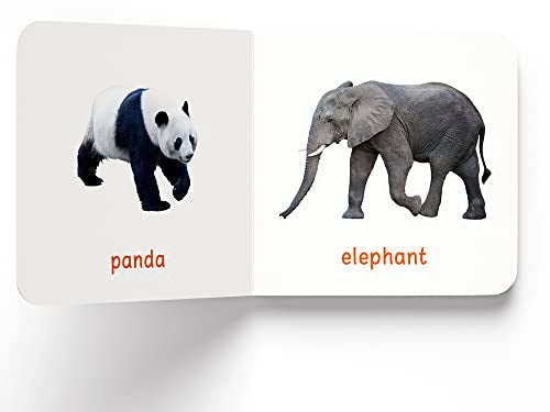 My First Book of Wild Animals: First Board Book