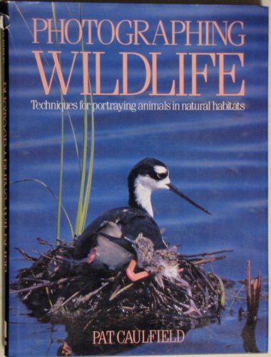 Photographing Wildlife