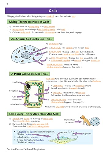KS3 Science Complete Study Foundation