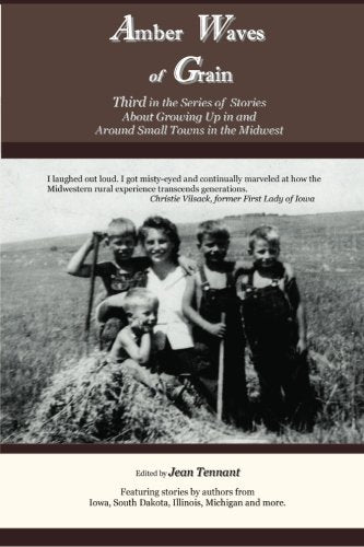 Amber Waves of Grain: Third in the Series of Stories About Growing Up in and Around Small Towns in the Midwest