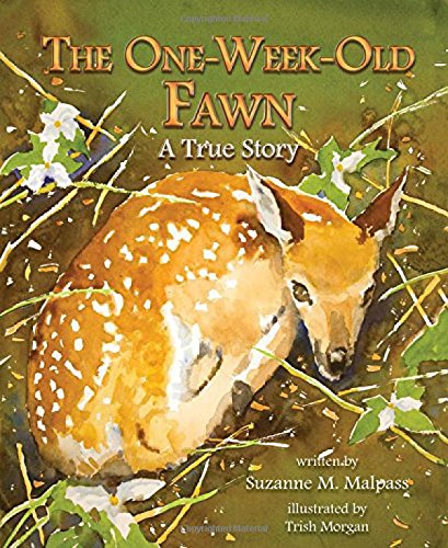 The One Week-Old Fawn: A True Story