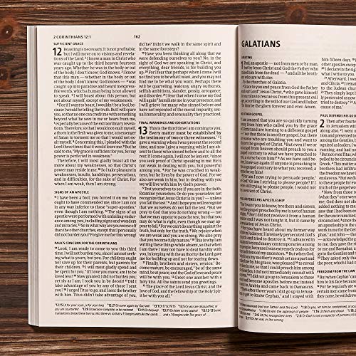 Here's Hope New Testament: Christian Standard Bible