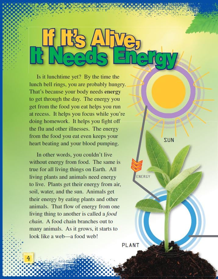 Teacher Created Materials - Science Readers: Content and Literacy: Food Webs - Grade 3 - Guided Reading Level P