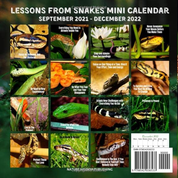 Lessons From Snakes Calendar 2022: September 2021 - December 2022 Monthly Planner Mini Calendar With Inspirational Quotes