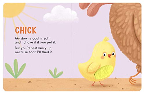 Baby Animals: A Touch and Feel Book - Children's Board Book - Educational