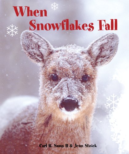 When Snowflakes Fall