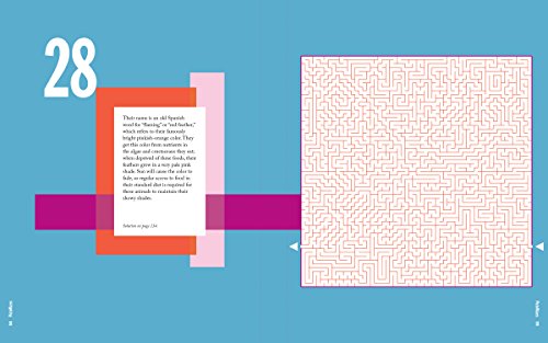 PictoMazes: Find 72 Hidden Animals! - 4677