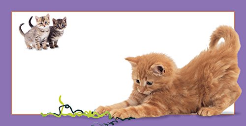 Furry Kittens (Feels Real Books)