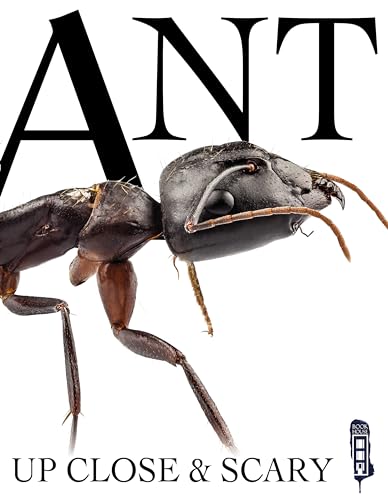 Ant (Up Close & Scary)