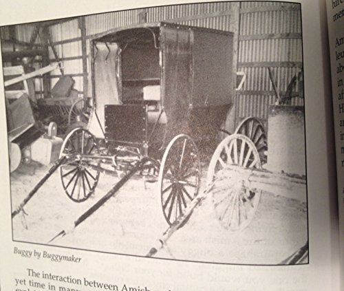 The Amish of Harmony