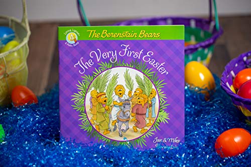 THE BERENSTAIN BEARS THE VERY FI