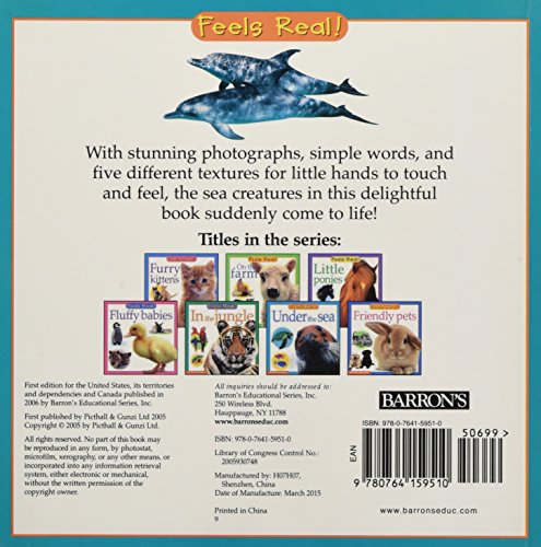 Under the Sea (Feels Real Books)