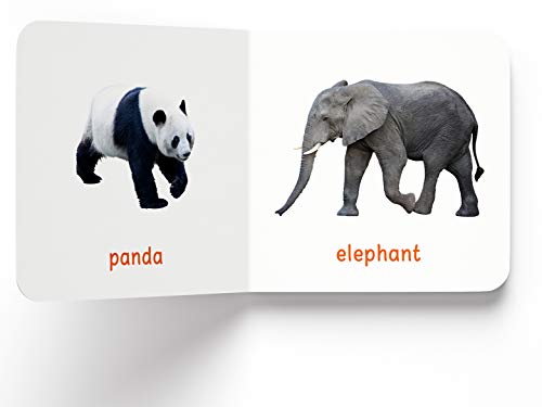 My First Book of Wild Animals: First Board Book