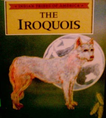 The Iroquois (Native American People)