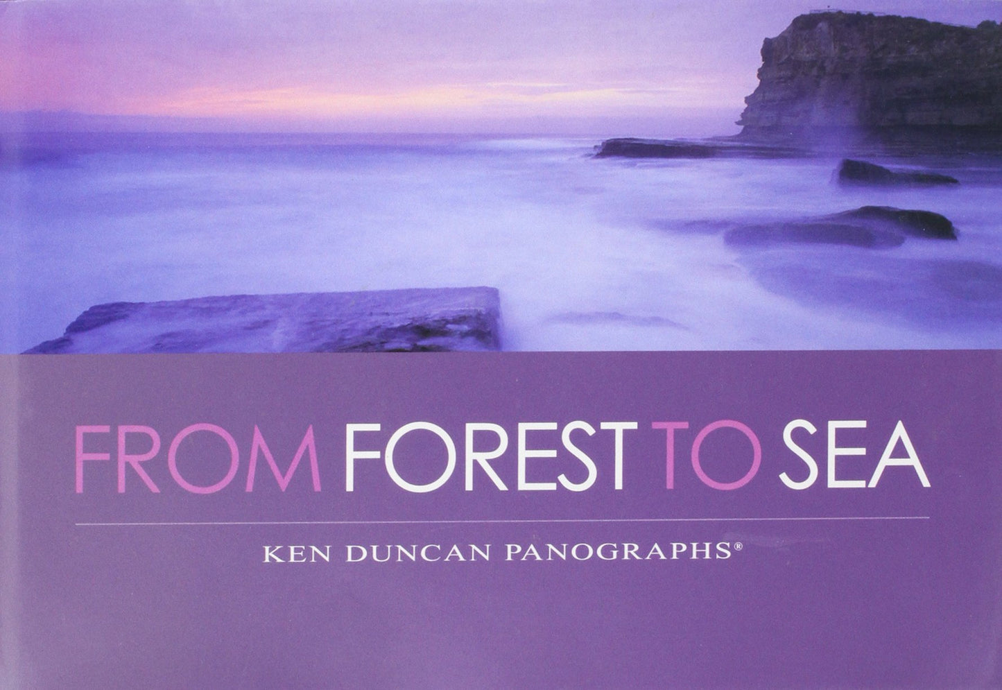 From Forest to Sea