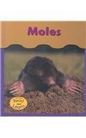 Moles (Heinemann Read and Learn)