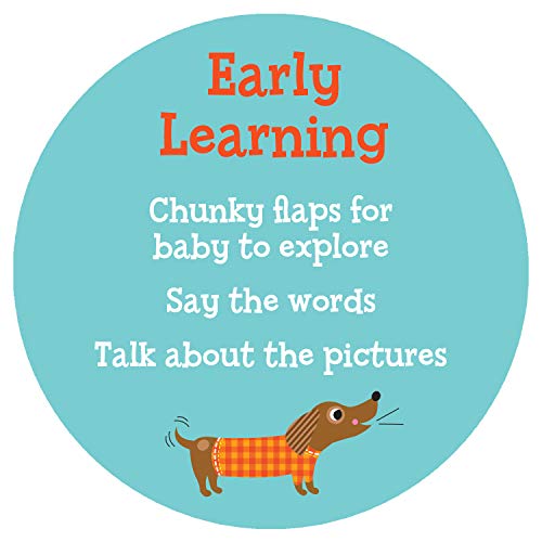 Babies in the Snow Chunky Lift-a-Flap Board Book (Babies Love) (Chunky Lift a Flap Books)
