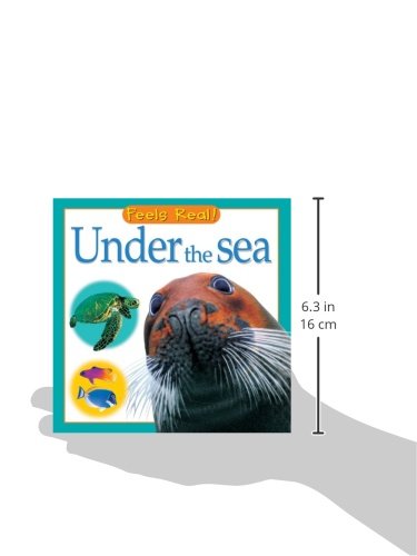Under the Sea (Feels Real Books)