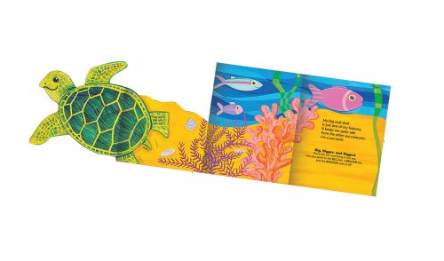Ocean! A Big Fold-Out Flap Book