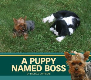 Puppy Named Boss, A