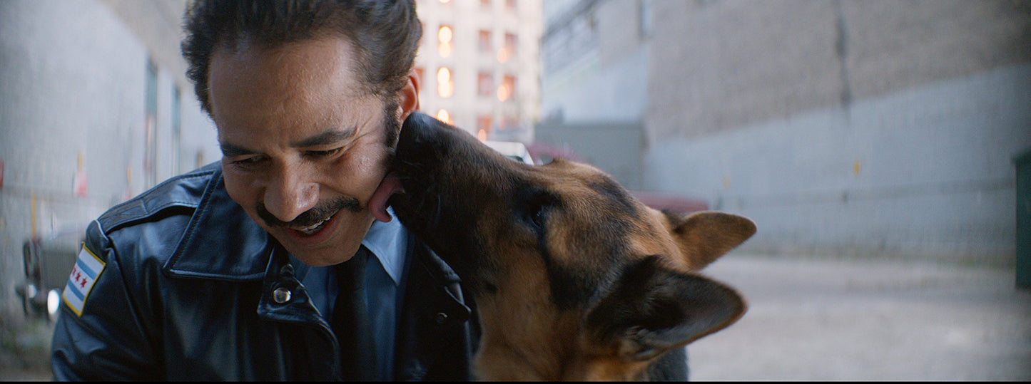 A Dog's Purpose [DVD]