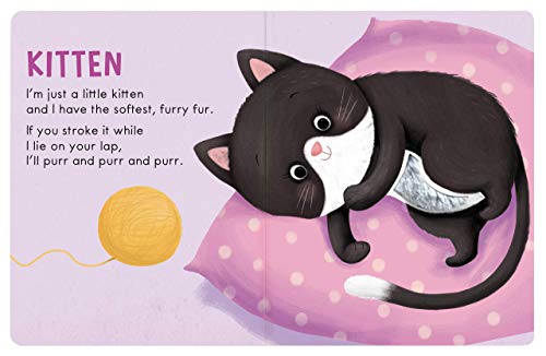 Baby Animals: A Touch and Feel Book - Children's Board Book - Educational