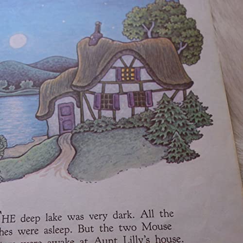 Good Night, Aunt Lilly (Little Golden Book)