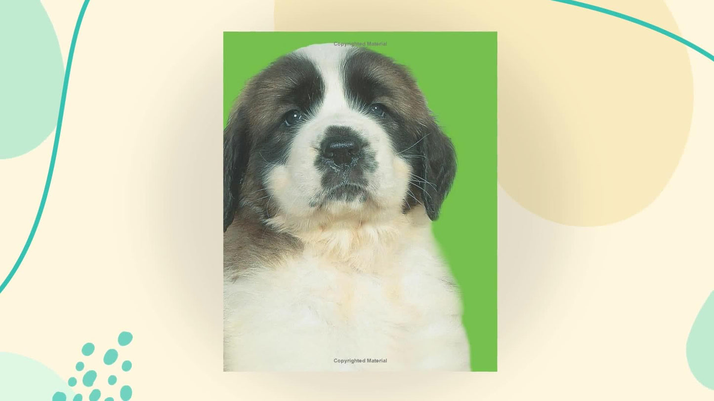 Bright Baby Touch & Feel Perfect Pets (Bright Baby Touch and Feel)