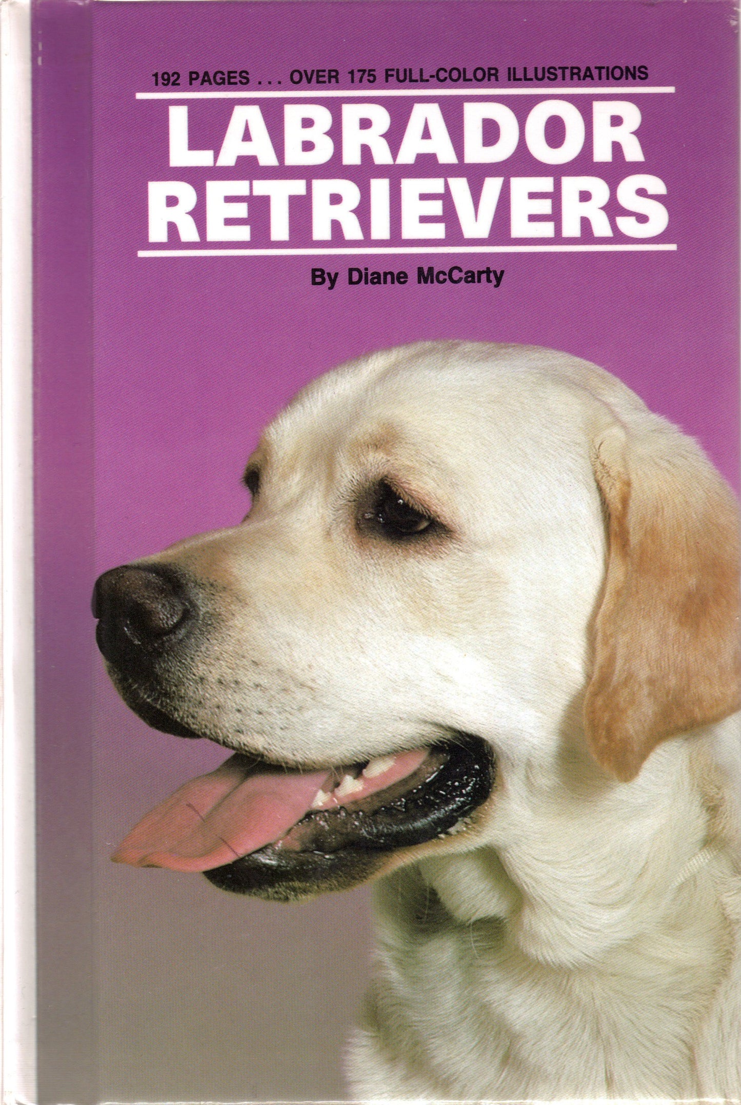 Labrador Retriever