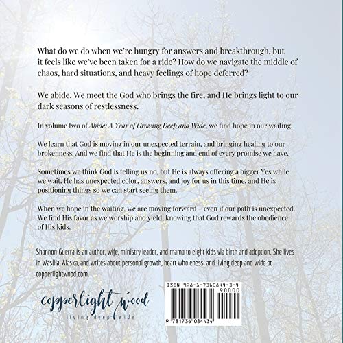 Hope in the Waiting: A Year of Growing Deep and Wide (Abide)
