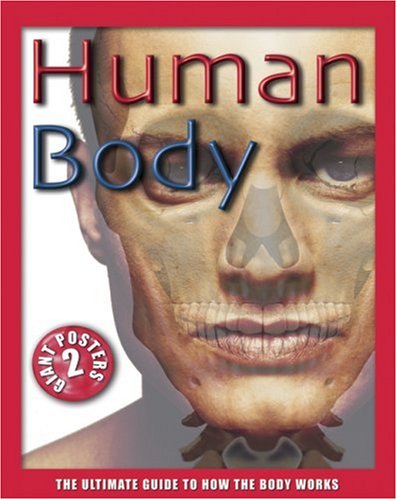 Human Body: The Ultimate Guide to How the Body Works - 2839