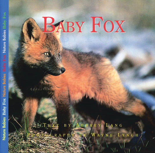 Baby Fox (Nature Babies)