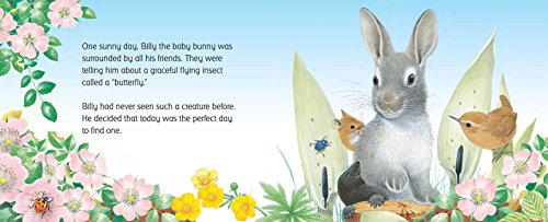 Billy Bunny and the Butterflies (Friendship Tales)
