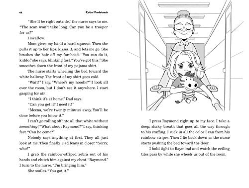 Meena Meets Her Match (The Meena Zee Books)