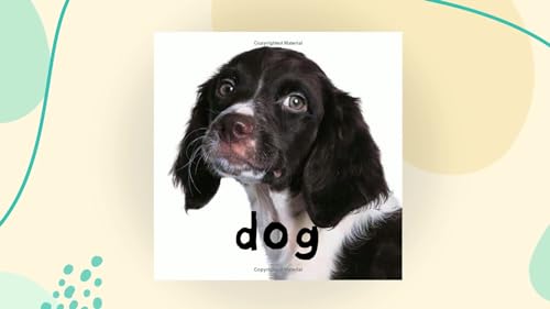 Bright Baby Animals (Cover may vary)