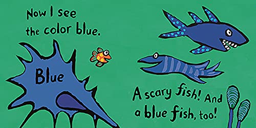 Colors with Little Fish