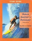 Study Guide for Human Anatomy & Physiology