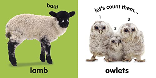 Baby Touch and Feel: Fluffy Animals