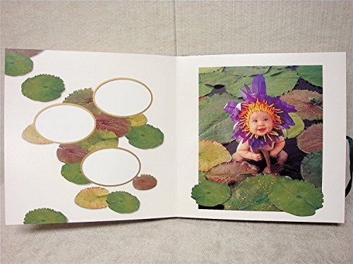 K-Musculo 1 X Anne Geddes Photograph Album
